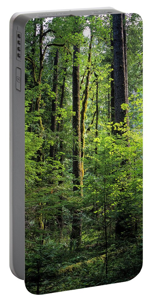 August Portable Battery Charger featuring the photograph Olympic Peninsula Forest by Robert Potts
