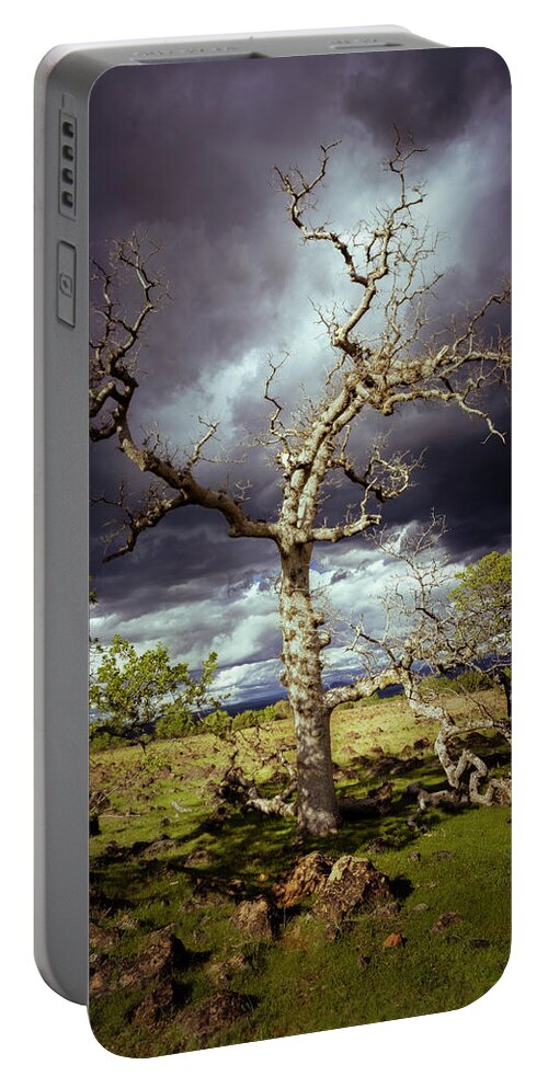 Nature Portable Battery Charger featuring the photograph Ominous Oak by Mike Lee