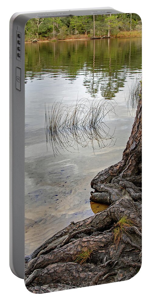 Bayou Portable Battery Charger featuring the photograph On the Bayou by M Kathleen Warren