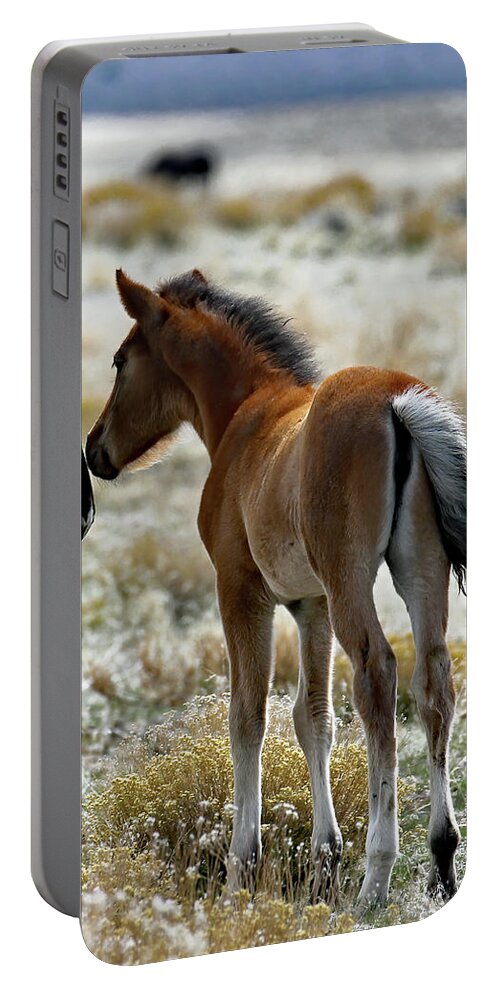 Utah Portable Battery Charger featuring the photograph Onaqui Butt by Jennifer Robin