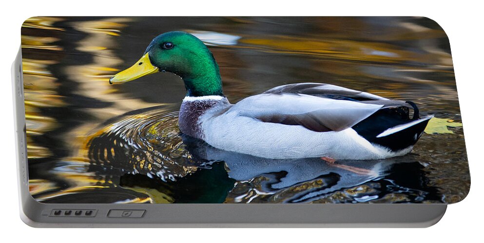 Bird Portable Battery Charger featuring the photograph One Last Look by Linda Bonaccorsi