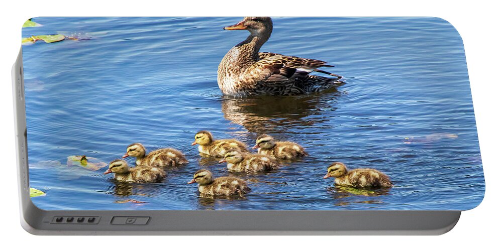 Lakes And Rivers Portable Battery Charger featuring the photograph One Proud Mom by Phyllis McDaniel