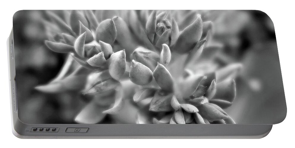 Square Portable Battery Charger featuring the photograph One Silent Tear BW by Connie Fox
