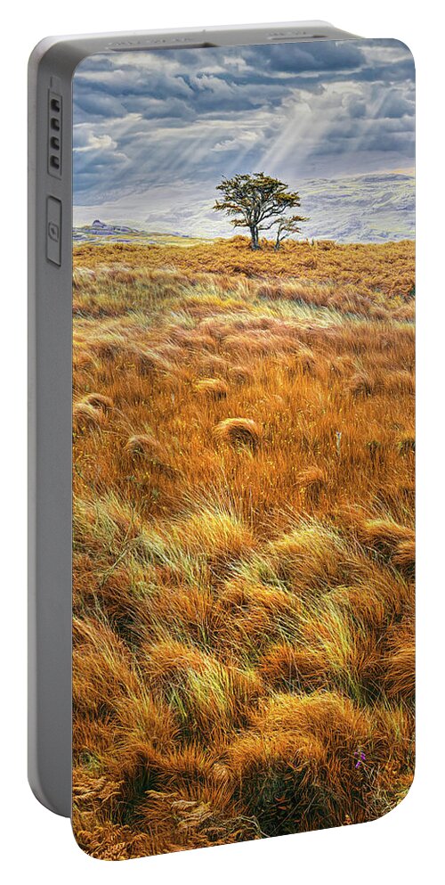 Clouds Portable Battery Charger featuring the photograph One Tree in the Autumn Irish Mist by Debra and Dave Vanderlaan
