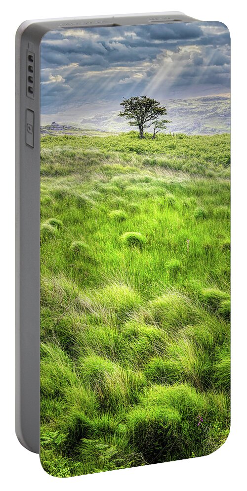 Clouds Portable Battery Charger featuring the photograph One Tree in the Irish Mist by Debra and Dave Vanderlaan