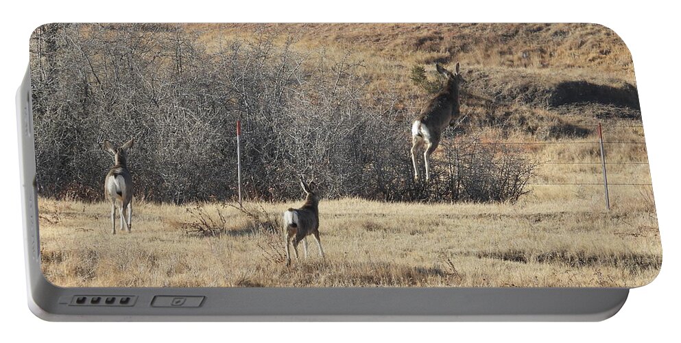Mule Deer Portable Battery Charger featuring the photograph One Two Three Jump by Amanda R Wright