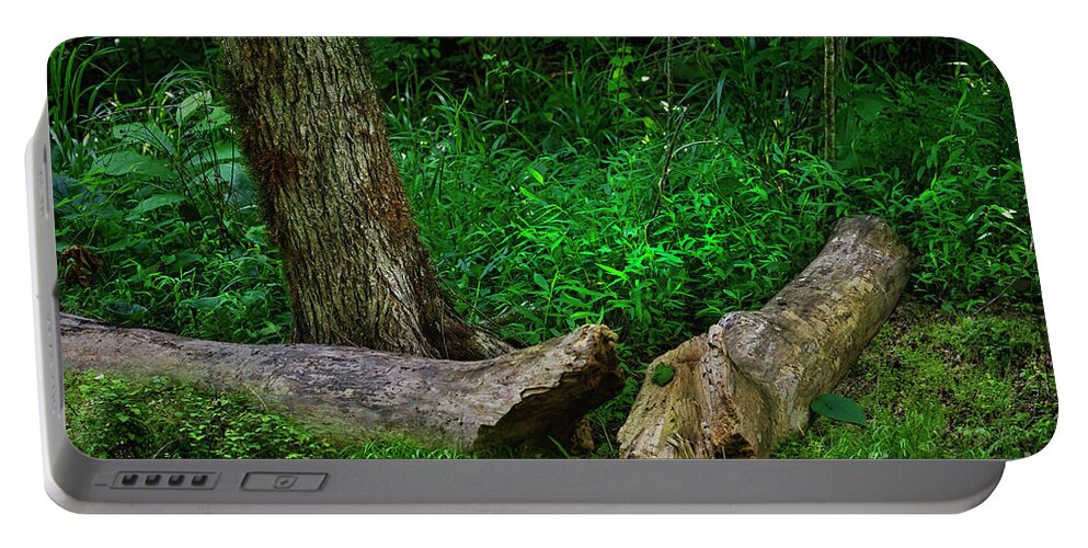 Log; Tree; Grass; Weed; Forest; Dense; Tennessee; Northeast Tennessee; Green Portable Battery Charger featuring the photograph Oneness in Nature by Shelia Hunt