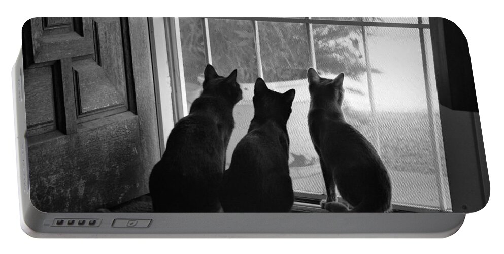 Cat Portable Battery Charger featuring the photograph Open Entertainment by David S Reynolds