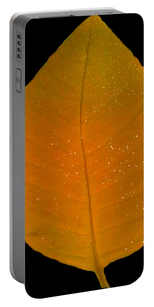 Orange Portable Battery Charger featuring the photograph Orange and Green Autumn Leaf for Wall Art Prints by Delynn Addams