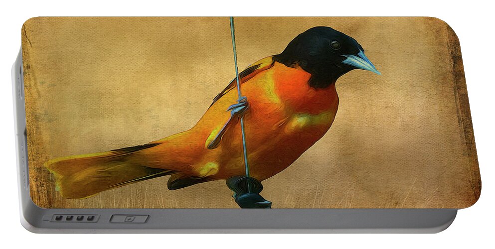 Songbird Portable Battery Charger featuring the photograph Orange Bird by Cathy Kovarik