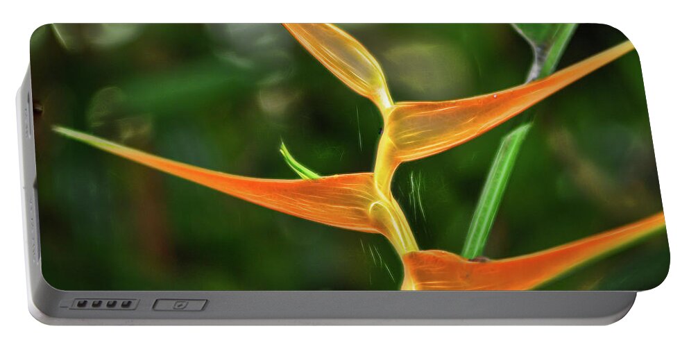 Orange Flower Portable Battery Charger featuring the photograph Orange Flower at Botanical Gardens by Cordia Murphy