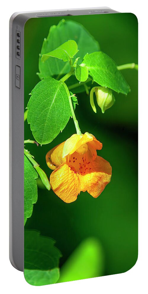 Balsam Family Portable Battery Charger featuring the photograph Orange Jewelweed DFL1221 by Gerry Gantt