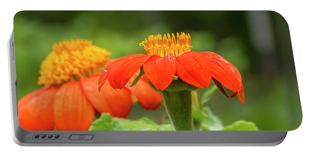 Orange Wild Flowers Portable Battery Charger featuring the photograph Orange Wild Flowers Autumn by Sandra J's