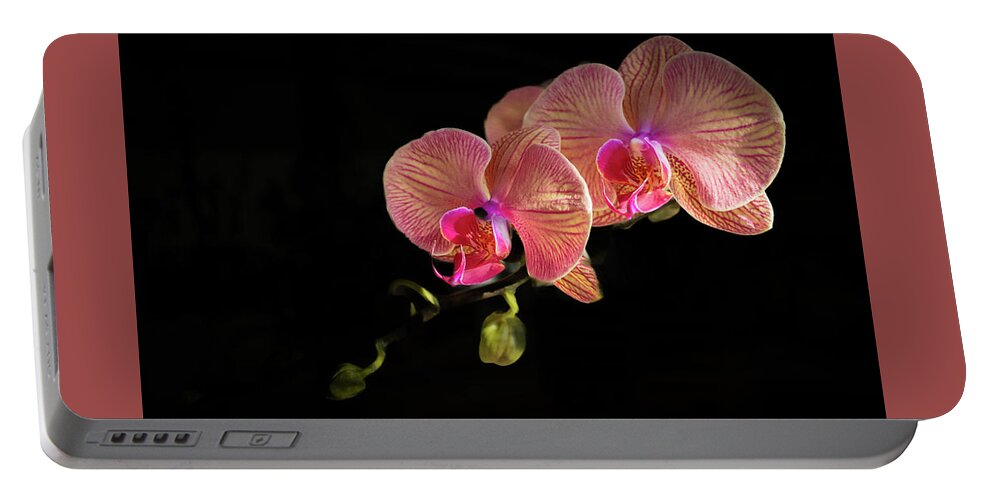 Orchid Portable Battery Charger featuring the photograph Orchid Bloom by Richard Goldman