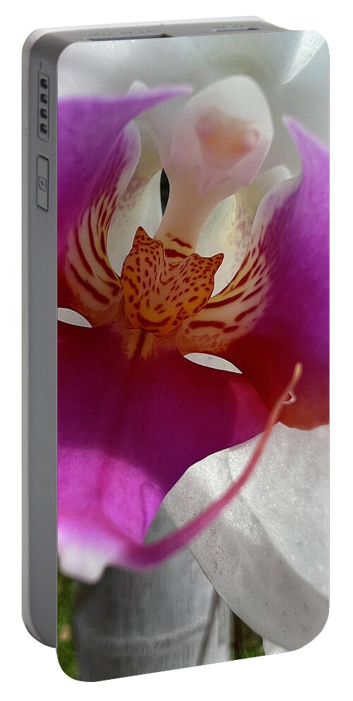 Orchid Portable Battery Charger featuring the photograph Orchid Center Close Up by Karen Zuk Rosenblatt