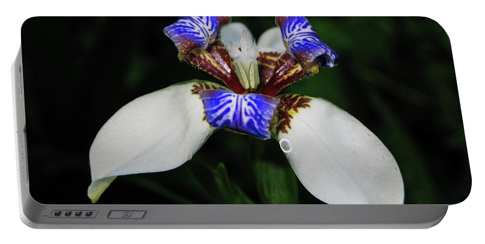 Flora Portable Battery Charger featuring the photograph Orchid by Segura Shaw Photography