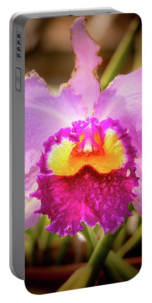 Detail Portable Battery Charger featuring the photograph Orchid Yellow by Joann Long