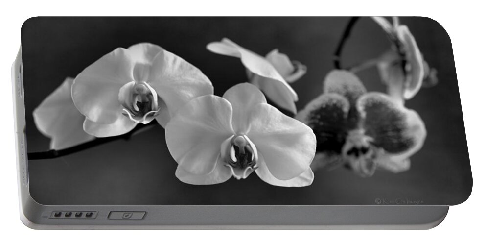 Orchids Portable Battery Charger featuring the photograph Orchids in Black and White by Kae Cheatham