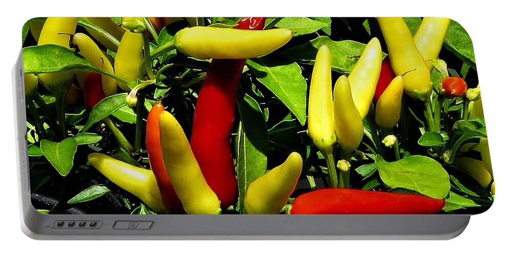 Vegetables Portable Battery Charger featuring the photograph Ornamental Peppers Close-up by Linda Stern