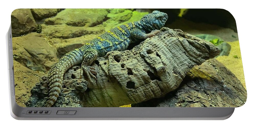 Ornate Portable Battery Charger featuring the photograph Ornate Uromastyx by Elena Pratt