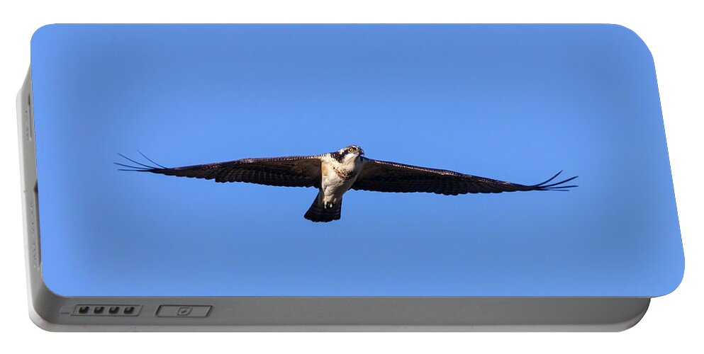 Osprey Portable Battery Charger featuring the photograph Osprey Flying High by Steven Krull