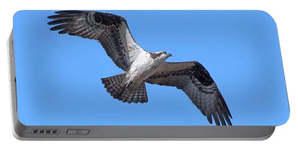 Nature Portable Battery Charger featuring the photograph Osprey in Flight DRB0282 by Gerry Gantt