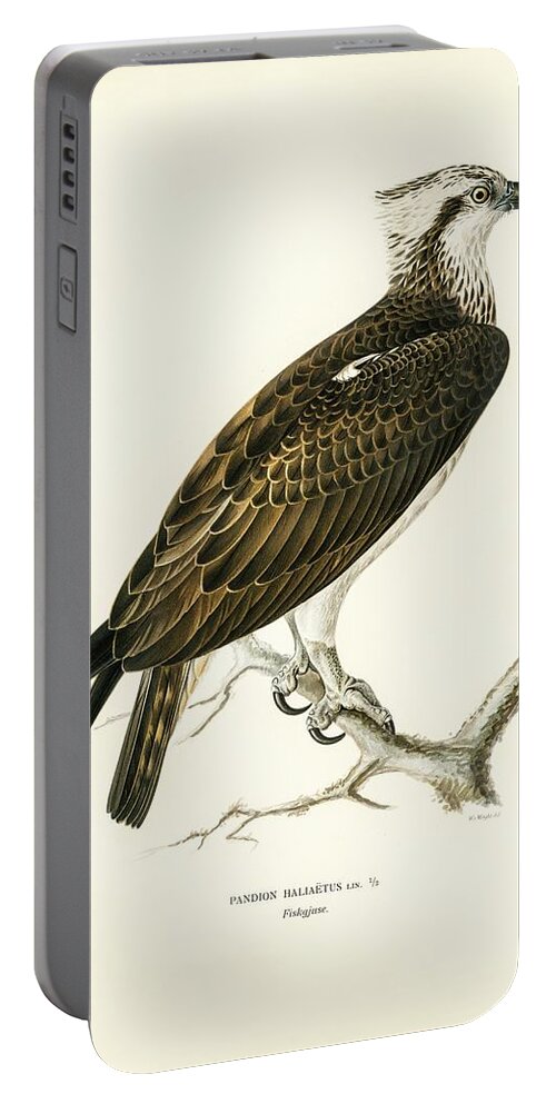 Osprey Portable Battery Charger featuring the mixed media Osprey by World Art Collective