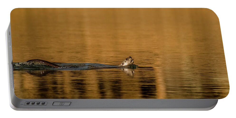River Otter Portable Battery Charger featuring the photograph Otter Catch by Yeates Photography