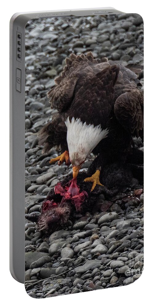 Natanson Portable Battery Charger featuring the photograph Otter for Lunch by Steven Natanson