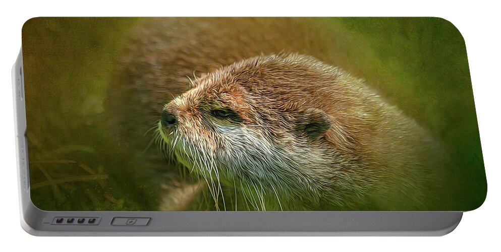 Abstract Portable Battery Charger featuring the photograph Otter by Sue Leonard