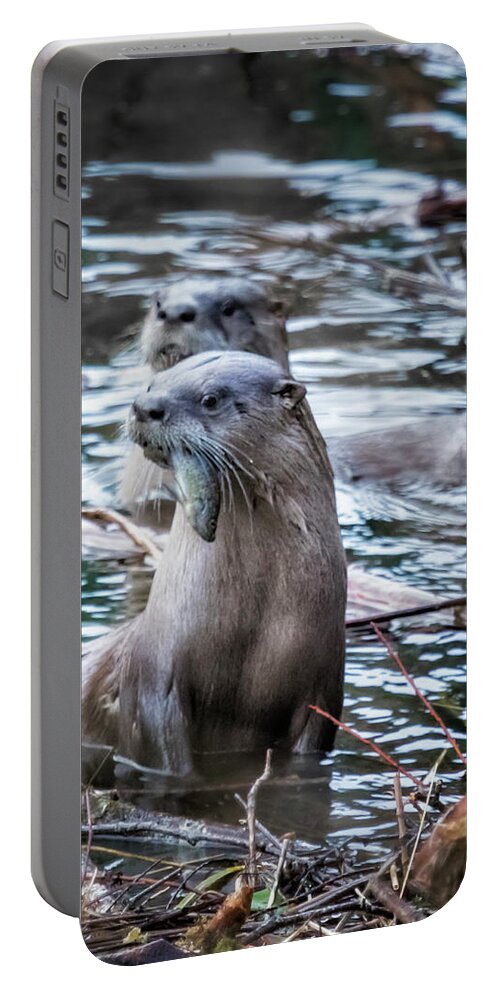 North American River Otter Portable Battery Charger featuring the photograph Otters Having Breakfast on the River by Belinda Greb