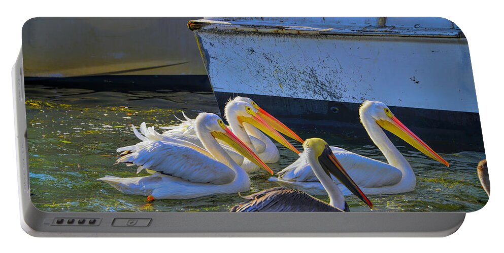 White Pelicans Portable Battery Charger featuring the photograph Out Shopping by Alison Belsan Horton