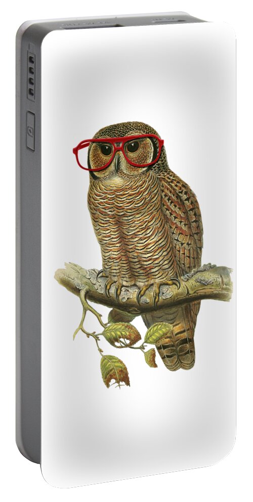 Owl Portable Battery Charger featuring the digital art Owl with red glasses by Madame Memento