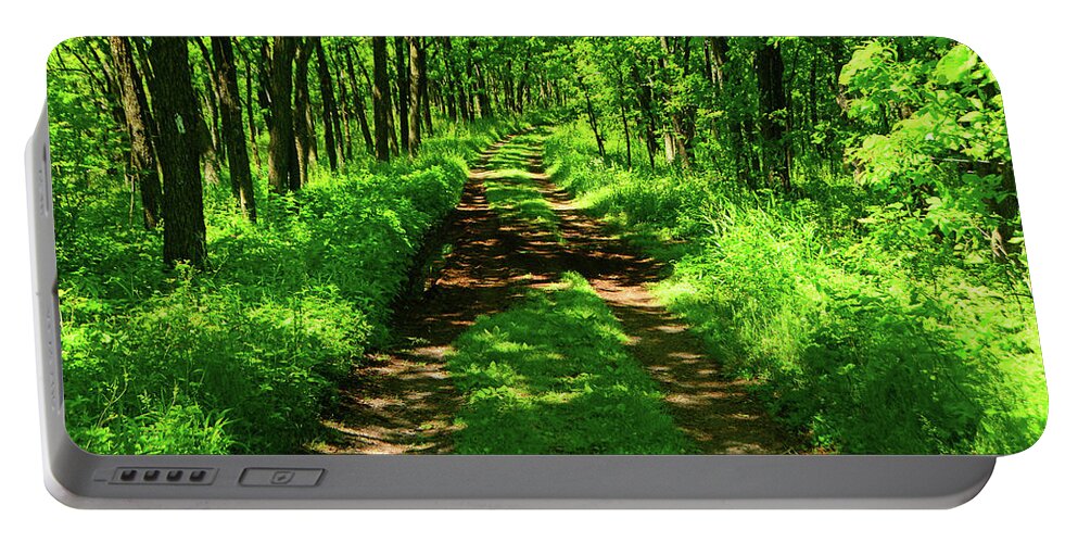 Pa Delaware Water Gap Appalachian Trail Portable Battery Charger featuring the photograph PA Delaware Water Gap Appalachian Trail 2 by Raymond Salani III