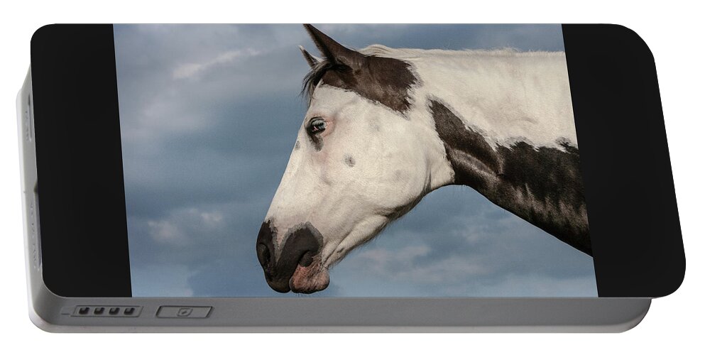 American Paint Horse Portable Battery Charger featuring the photograph Paint by Maresa Pryor-Luzier
