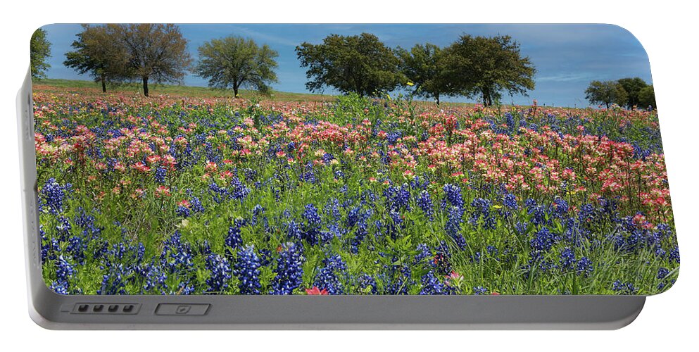 Flower Portable Battery Charger featuring the photograph Paintbrushes and Bluebonnets by Steve Templeton