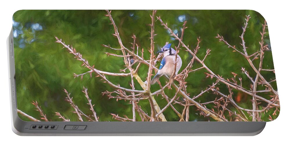 Nature Portable Battery Charger featuring the photograph Painted Blue Jay by John Kirkland