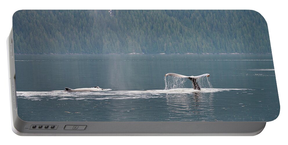 Whale Portable Battery Charger featuring the photograph Pair of Humpbacks by Bill Cubitt