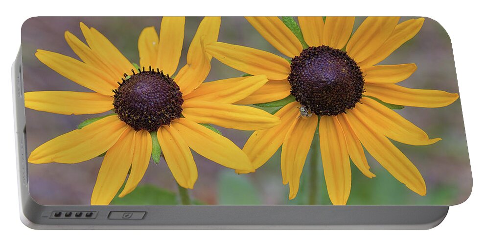 Flowers Portable Battery Charger featuring the photograph Pair of sunflowers by Bob Falcone