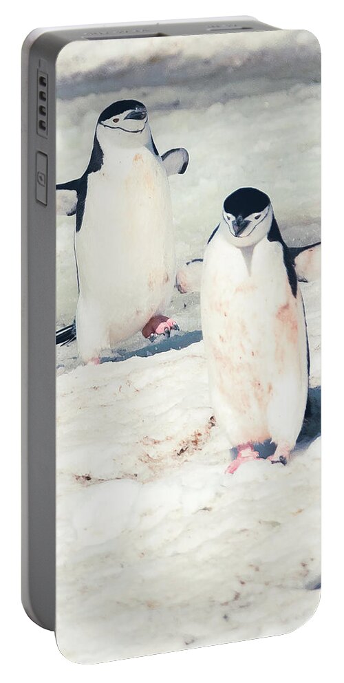 03feb20 Portable Battery Charger featuring the photograph Palaver Point Welcoming Party Pair by Jeff at JSJ Photography