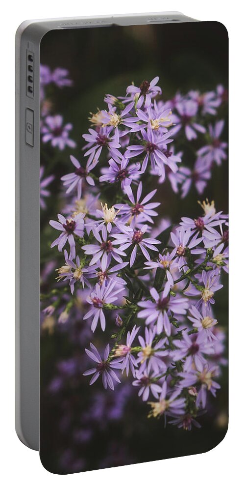 Flower Portable Battery Charger featuring the photograph Pale Purple Wildflowers by Jason Fink