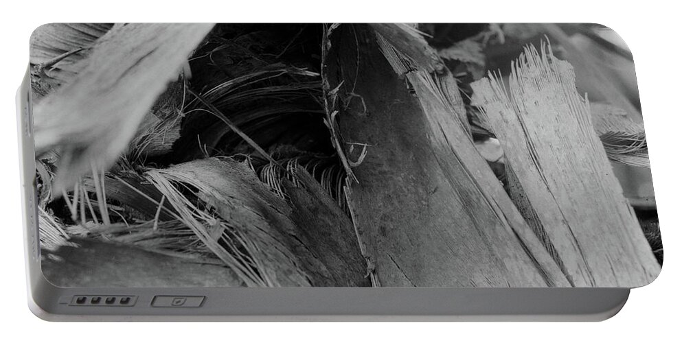 Closeup Portable Battery Charger featuring the photograph Palm #4 by John Simmons