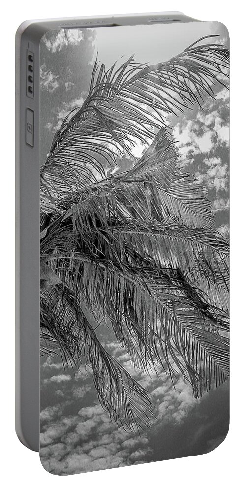 Mexico Portable Battery Charger featuring the photograph Palm Tree - Mexico by Frank Mari