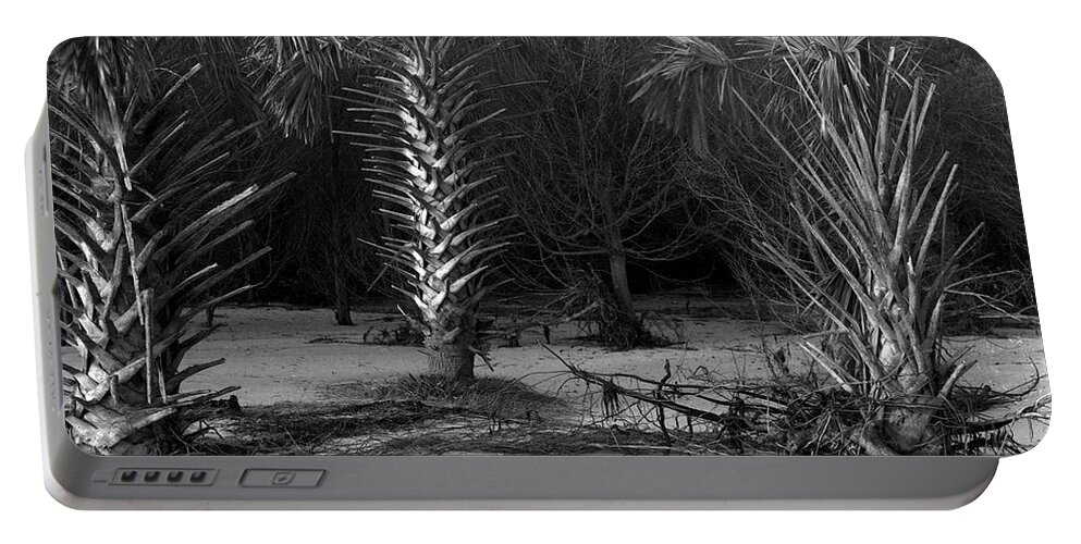  Portable Battery Charger featuring the photograph Palms on the beach, Big Talbot Island by John Simmons