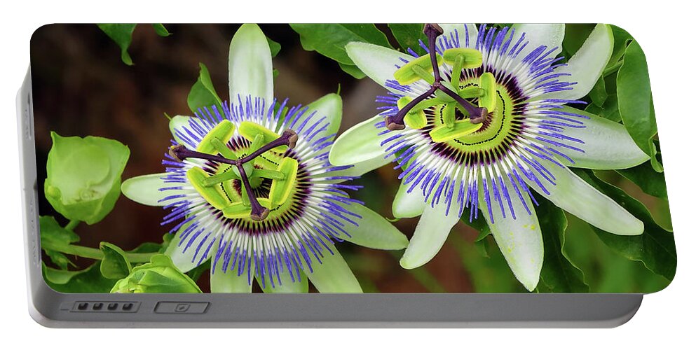 Passion Flowers Portable Battery Charger featuring the digital art Passion Flowers 09921 by Kevin Chippindall