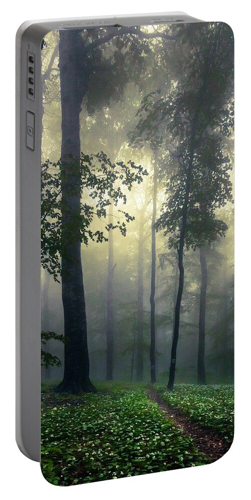 Balkan Mountains Portable Battery Charger featuring the photograph Path In the Mist by Evgeni Dinev
