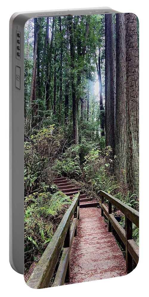 Redwoods Portable Battery Charger featuring the photograph Path to Bliss by Daniele Smith