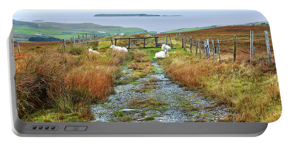 Sheep Portable Battery Charger featuring the photograph Path to Malin Beg in Autumn by Lexa Harpell