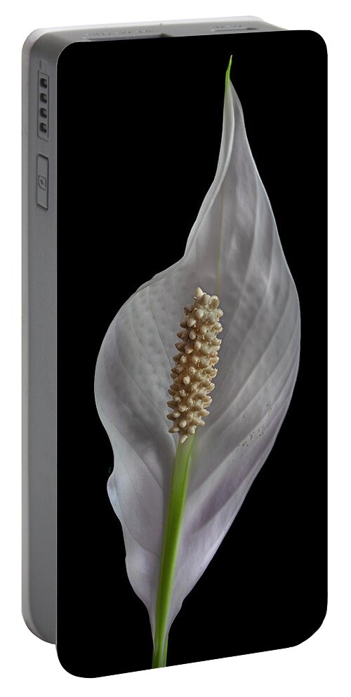 Peace Lily Portable Battery Charger featuring the photograph Peace Lily 2 by Endre Balogh
