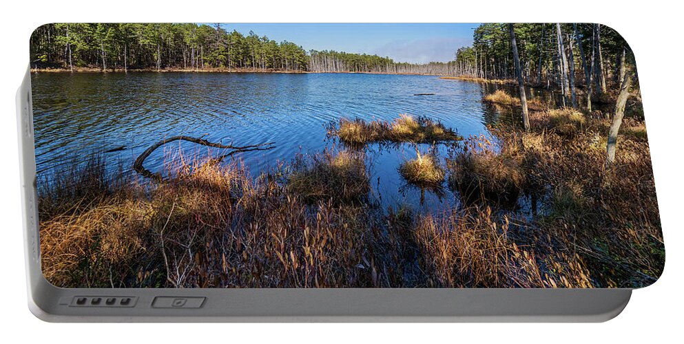 Grass Portable Battery Charger featuring the photograph Peaceful Pineland Photo by Louis Dallara